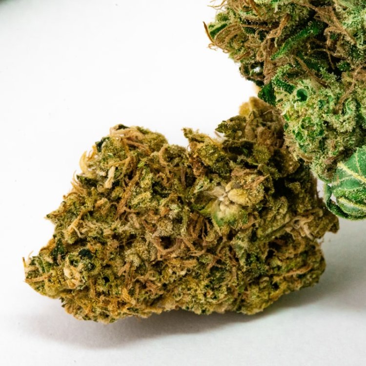 Artículos de CBD Cogollos Classic de CBD