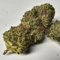 Cogollos Superior de CBD de nuestra tienda de CBD