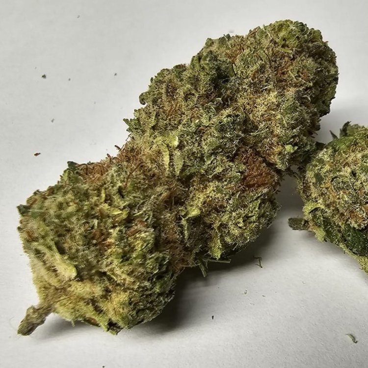 Artículos de CBD Cogollos Superior de CBD